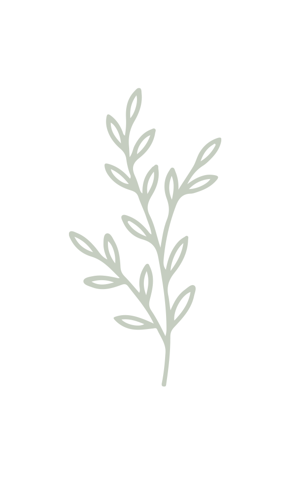 barastepan